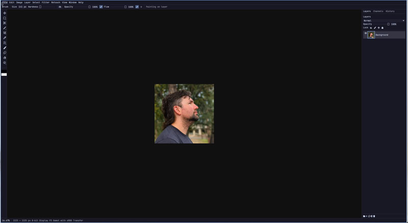 Omapix with its non-transparent canvas and Omarchy theme